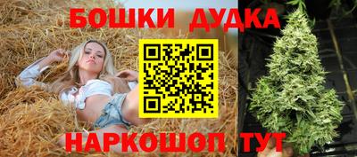 сатива Балаково