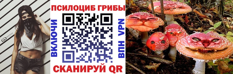 Псилоцибиновые грибы Psilocybine cubensis  Тында 
