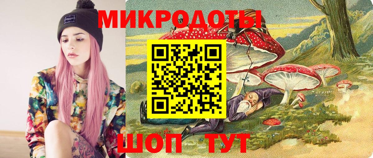 Галлюциногенные грибы Psilocybine cubensis  закладки  Тында 