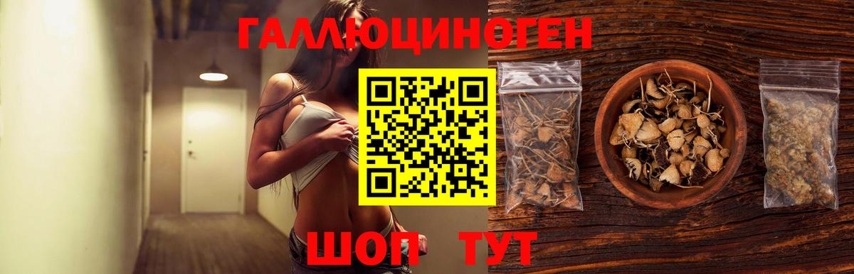 Галлюциногенные грибы мухоморы  Вход с VPN  Тында 