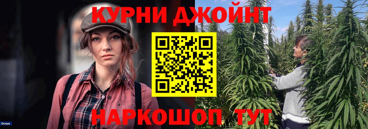 Каннабис гибрид Тында